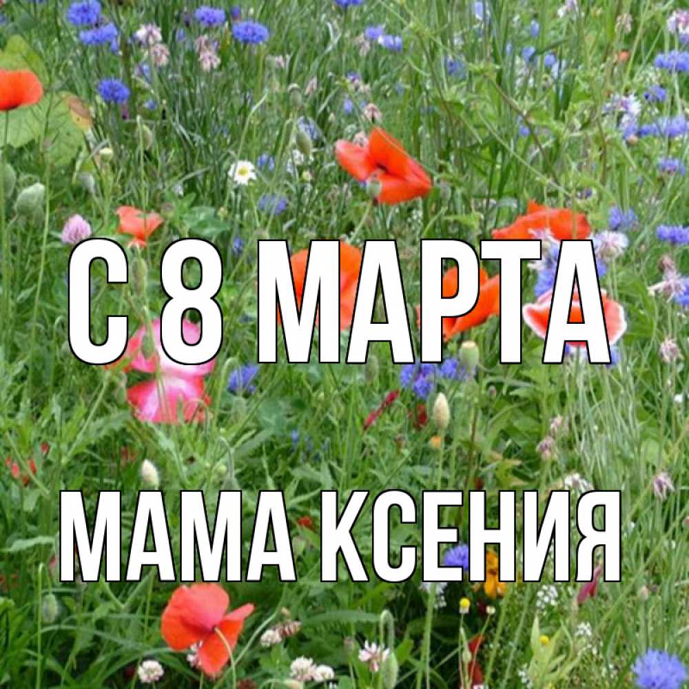 Открытка на каждый день с именем, Мама-Ксения С 8 МАРТА международный женский день 4 Прикольная открытка с пожеланием онлайн скачать бесплатно 
