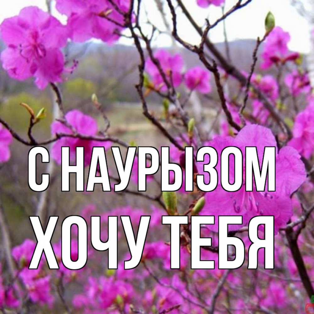 Картинка С наурызом, Хочу тебя