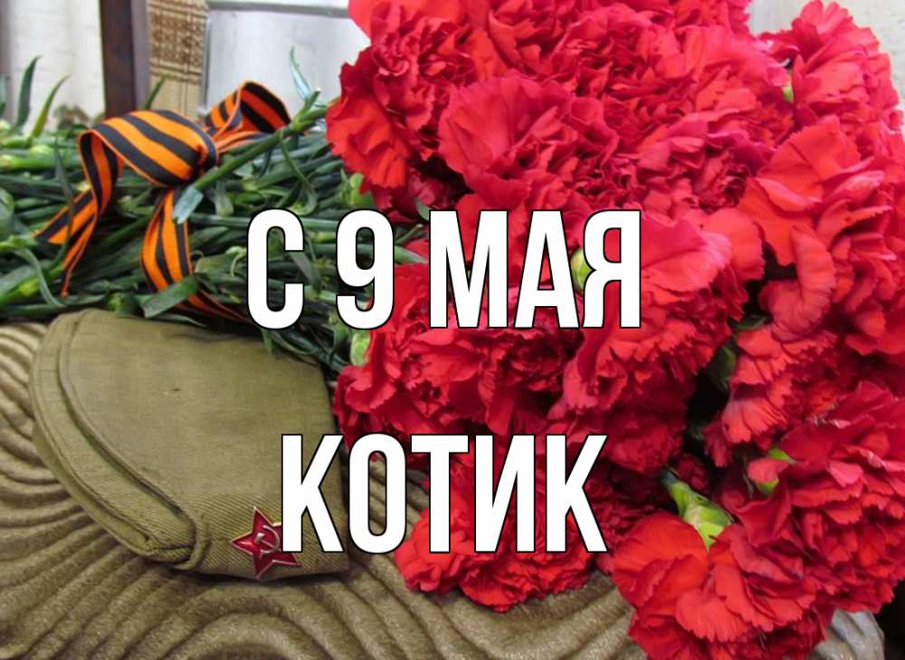 Картинка С 9 мая, котик
