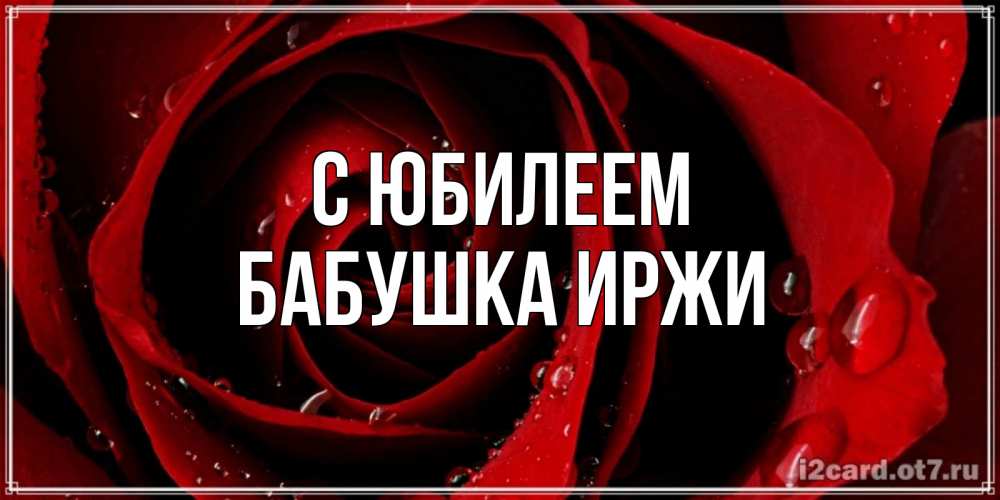 Открытка на каждый день с именем, Бабушка-Иржи С юбилеем крупная бордовая роза Прикольная открытка с пожеланием онлайн скачать бесплатно 