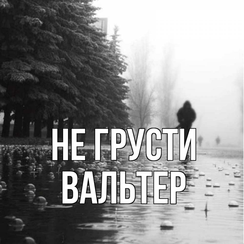 Открытка на каждый день с именем, Вальтер Не грусти улица под дождем Прикольная открытка с пожеланием онлайн скачать бесплатно 