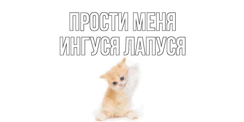 Извинения приняты картинки