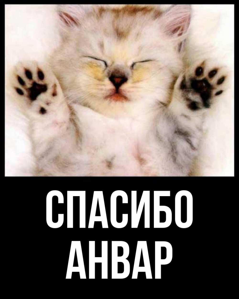 Открытка на каждый день с именем, Анвар Спасибо маленький котенок Прикольная открытка с пожеланием онлайн скачать бесплатно 