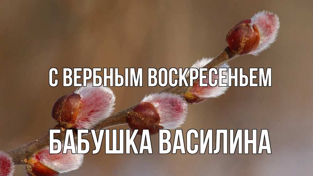 Открытка на каждый день с именем, Бабушка-Василина С вербным воскресеньем верба Прикольная открытка с пожеланием онлайн скачать бесплатно 