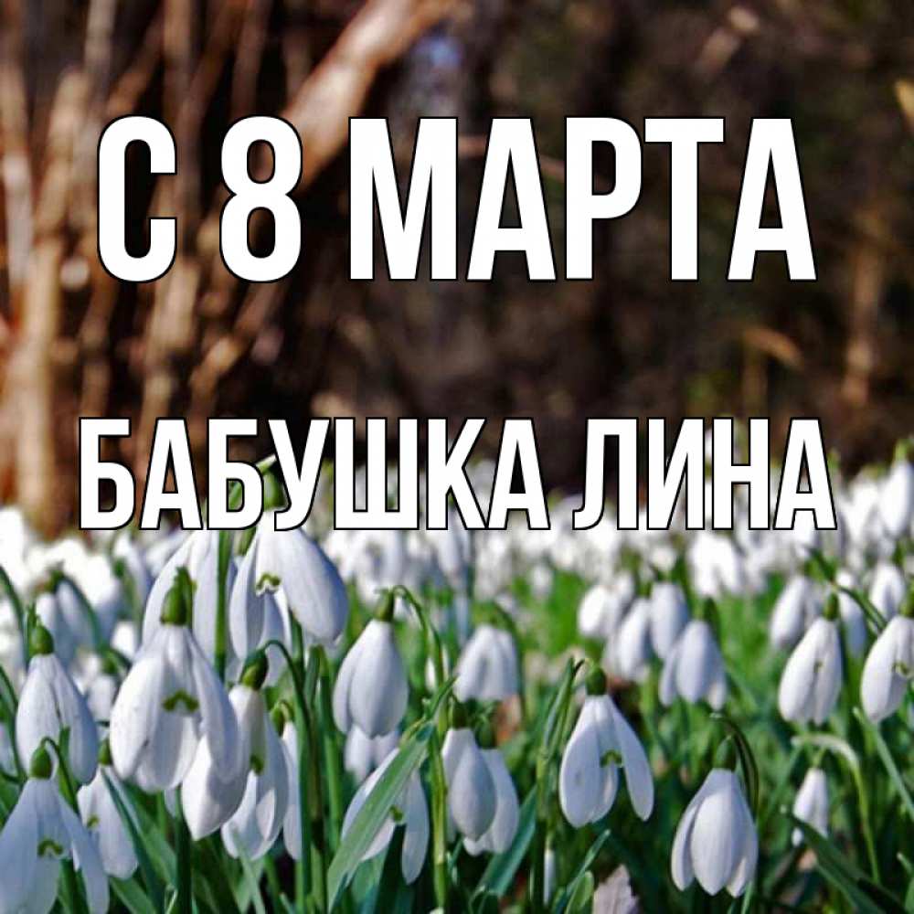 Открытка на каждый день с именем, Бабушка-Лина С 8 МАРТА с подснежниками 1 Прикольная открытка с пожеланием онлайн скачать бесплатно 