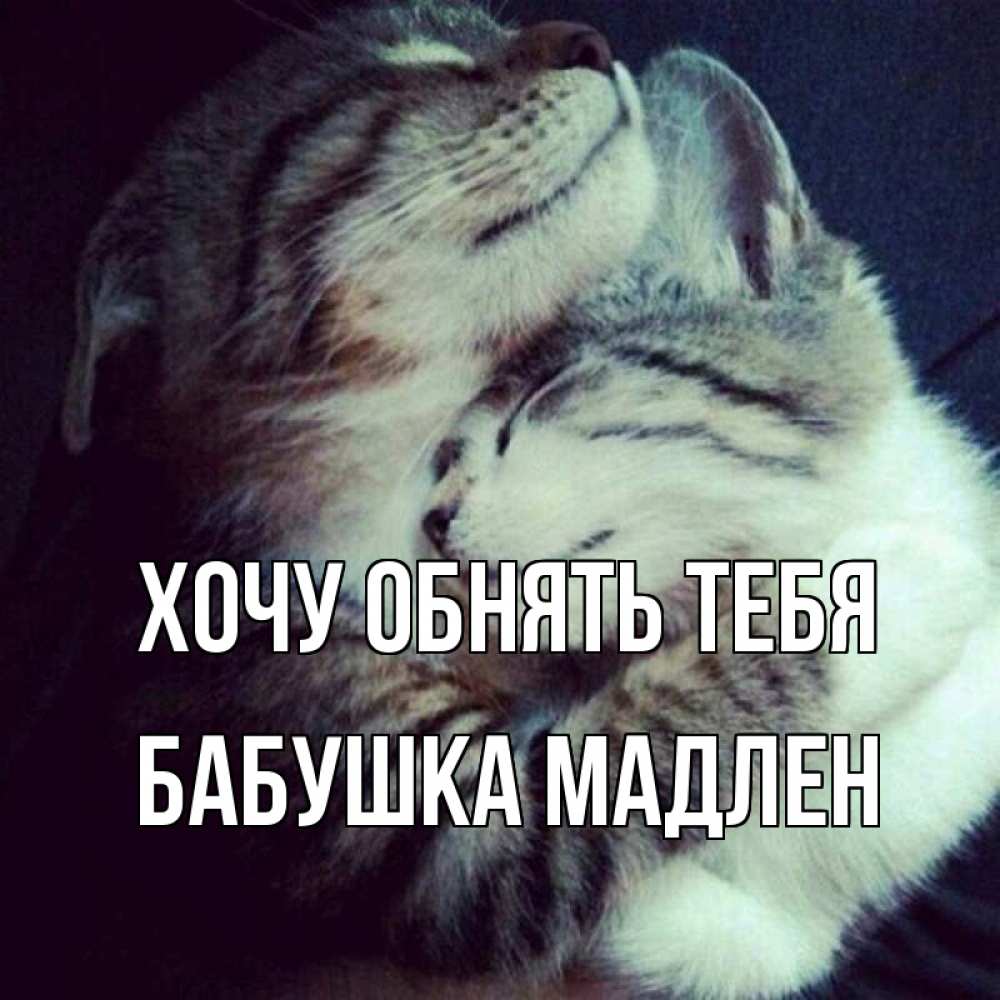 Открытка на каждый день с именем, Бабушка-Мадлен Хочу обнять тебя полосатики Прикольная открытка с пожеланием онлайн скачать бесплатно 