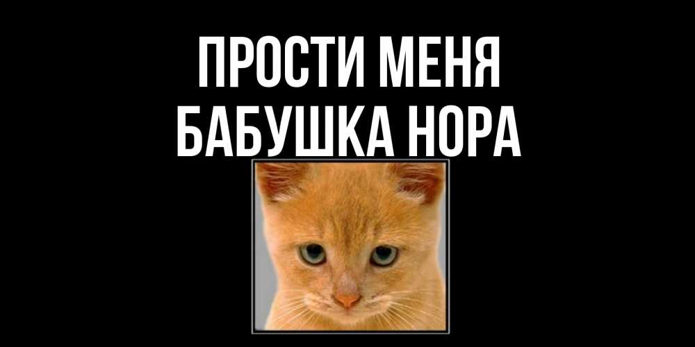 Открытка на каждый день с именем, Бабушка-Нора Прости меня рыжий грустный кот просит прощения Прикольная открытка с пожеланием онлайн скачать бесплатно 