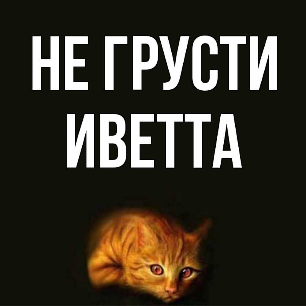 Открытка на каждый день с именем, Иветта Не грусти лежащий кот в темноте Прикольная открытка с пожеланием онлайн скачать бесплатно 