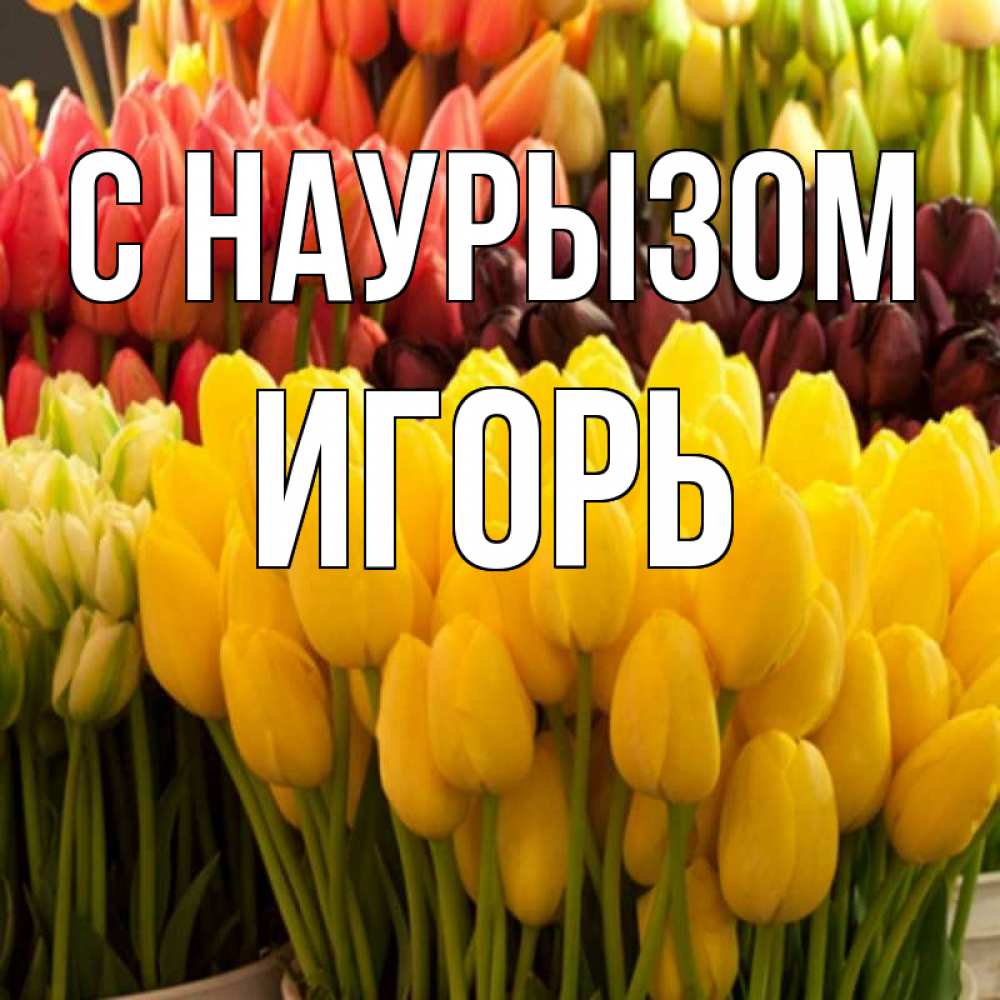 Открытка на каждый день с именем, Игорь С наурызом цветы Прикольная открытка с пожеланием онлайн скачать бесплатно 