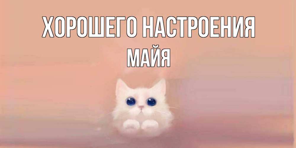 Открытка на каждый день с именем, Майя Хорошего настроения кошка Прикольная открытка с пожеланием онлайн скачать бесплатно 