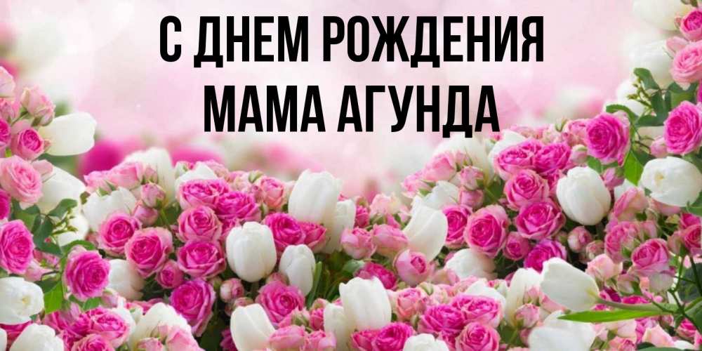 Открытка на каждый день с именем, Мама-Агунда С днем рождения открытка с разными розами Прикольная открытка с пожеланием онлайн скачать бесплатно 