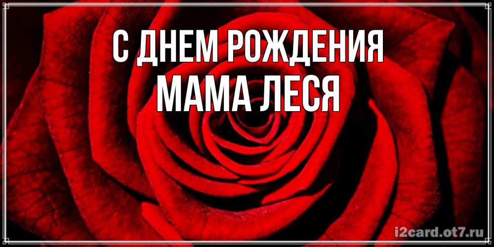 Открытка на каждый день с именем, Мама-Леся С днем рождения алая роза Прикольная открытка с пожеланием онлайн скачать бесплатно 