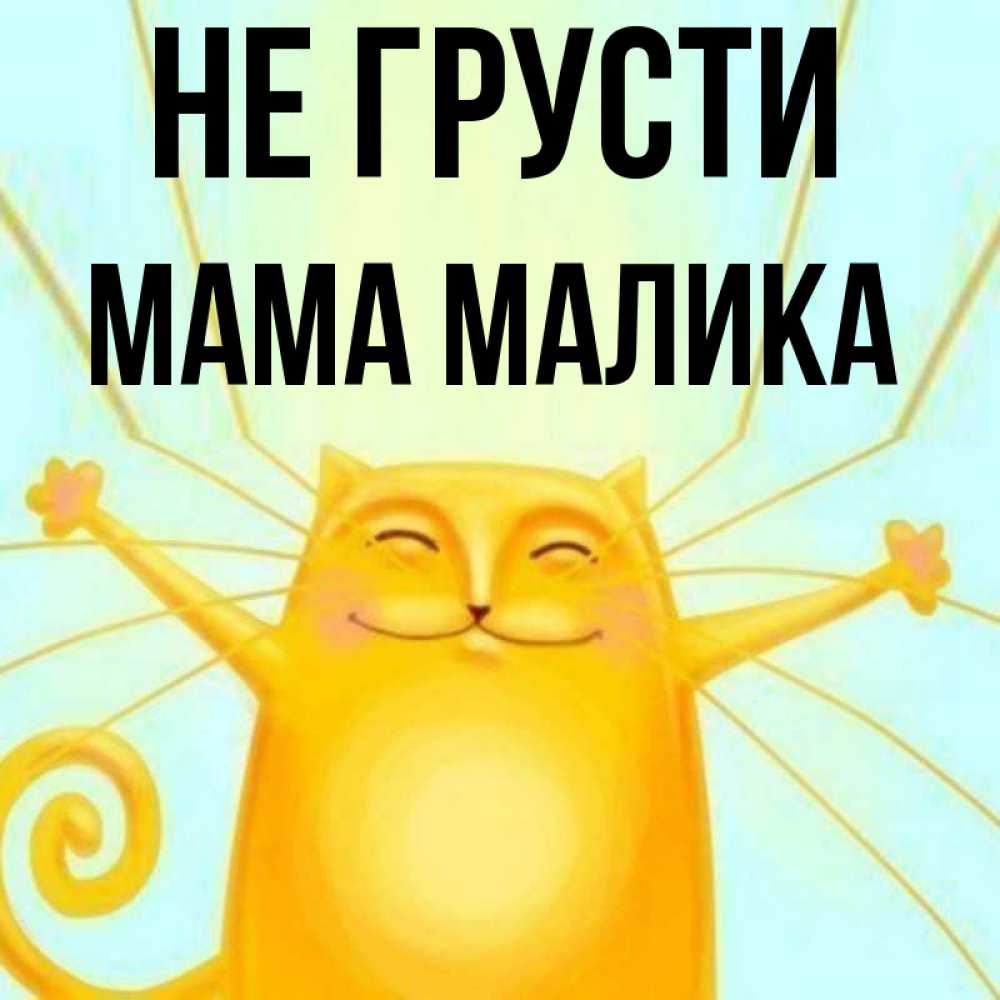 Открытка на каждый день с именем, Мама-Малика Не грусти обнимашки усатые Прикольная открытка с пожеланием онлайн скачать бесплатно 