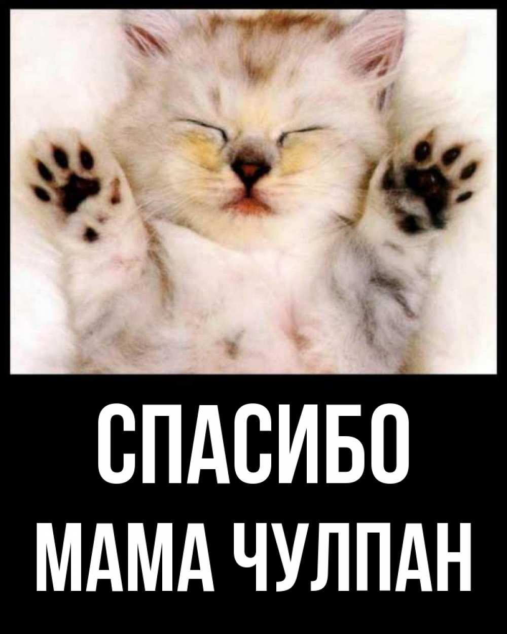 Открытка на каждый день с именем, Мама-Чулпан Спасибо маленький котенок Прикольная открытка с пожеланием онлайн скачать бесплатно 
