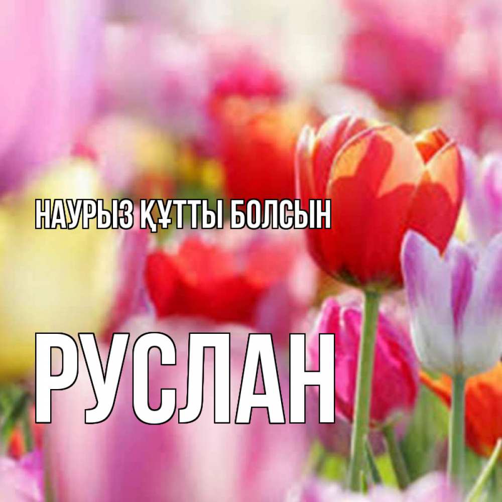 Открытка на каждый день с именем, Руслан Наурыз құтты болсын на наурыз  2 Прикольная открытка с пожеланием онлайн скачать бесплатно 