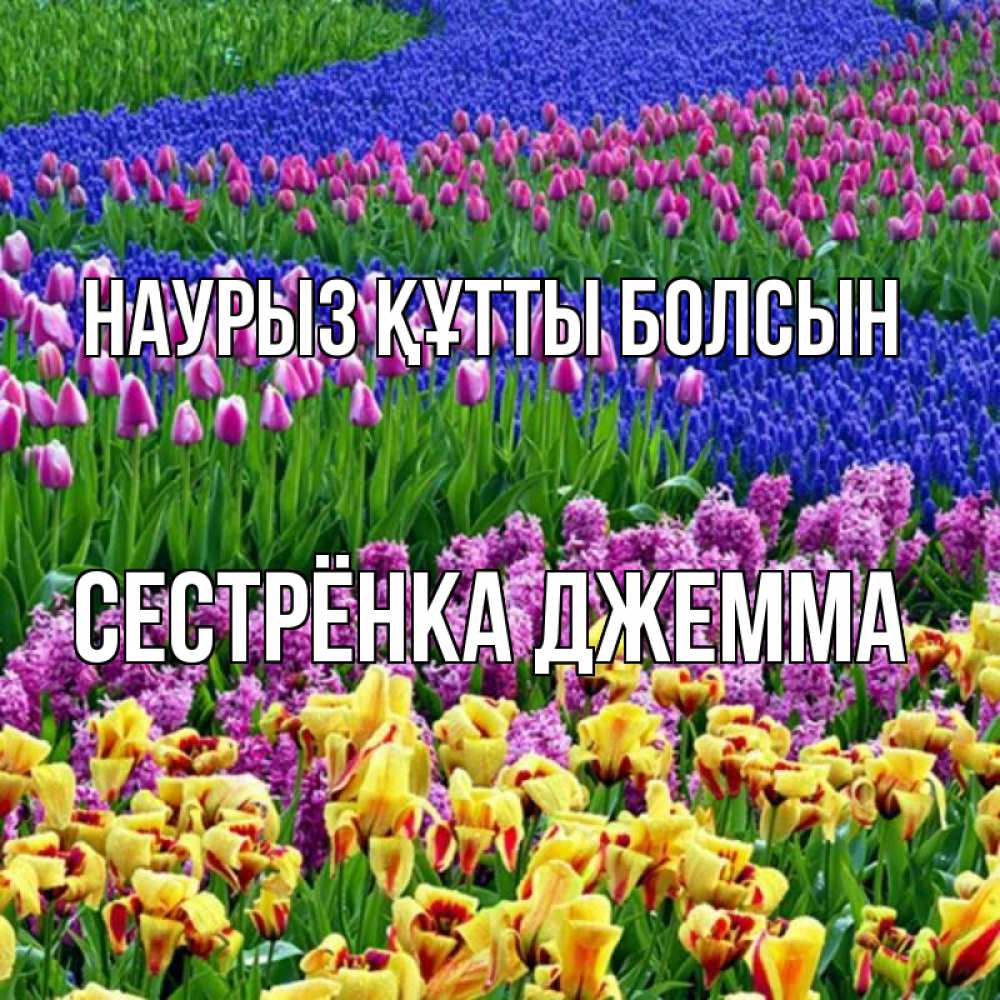 Открытка на каждый день с именем, Сестрёнка-Джемма Наурыз құтты болсын цветы Прикольная открытка с пожеланием онлайн скачать бесплатно 