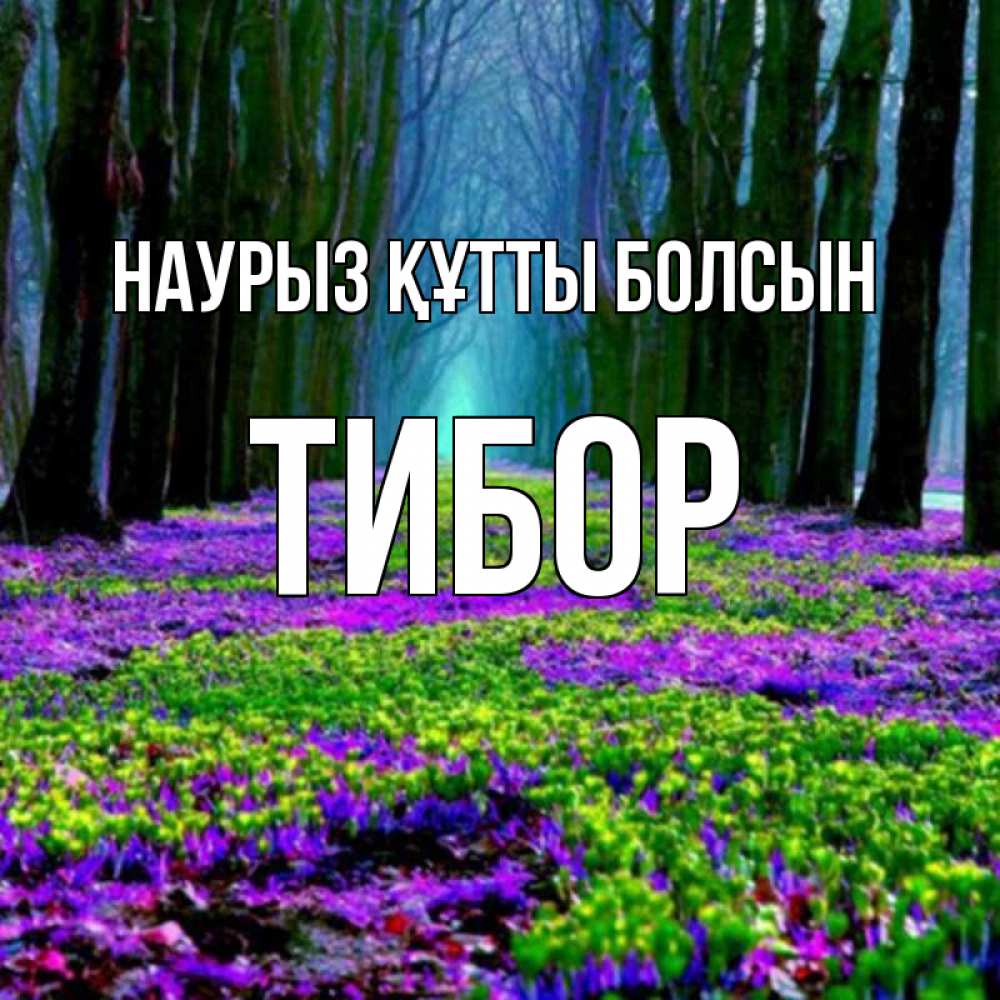Открытка на каждый день с именем, Тибор Наурыз құтты болсын фиолетовые цветы в лесу 1 Прикольная открытка с пожеланием онлайн скачать бесплатно 