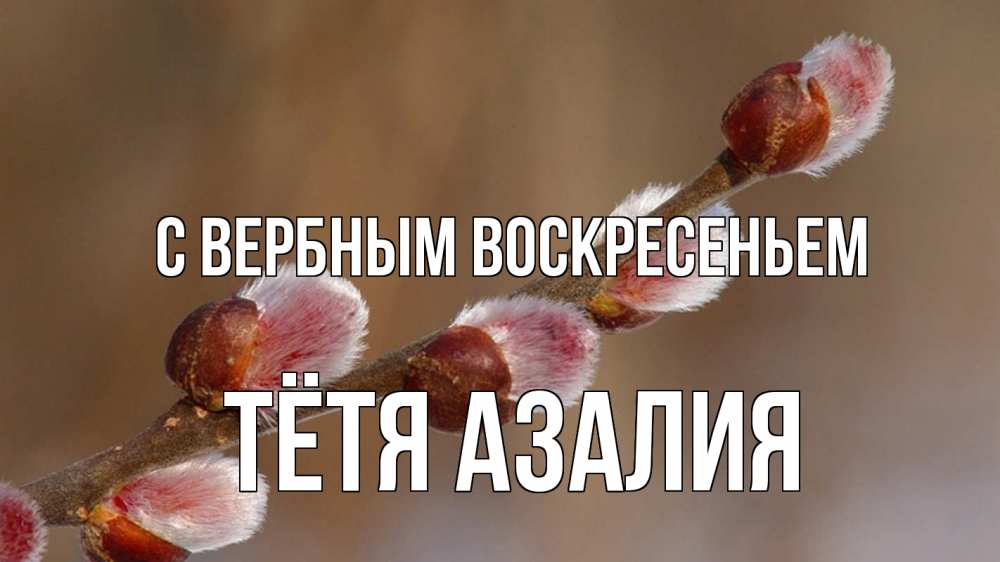 Открытка на каждый день с именем, Тётя-Азалия С вербным воскресеньем верба Прикольная открытка с пожеланием онлайн скачать бесплатно 