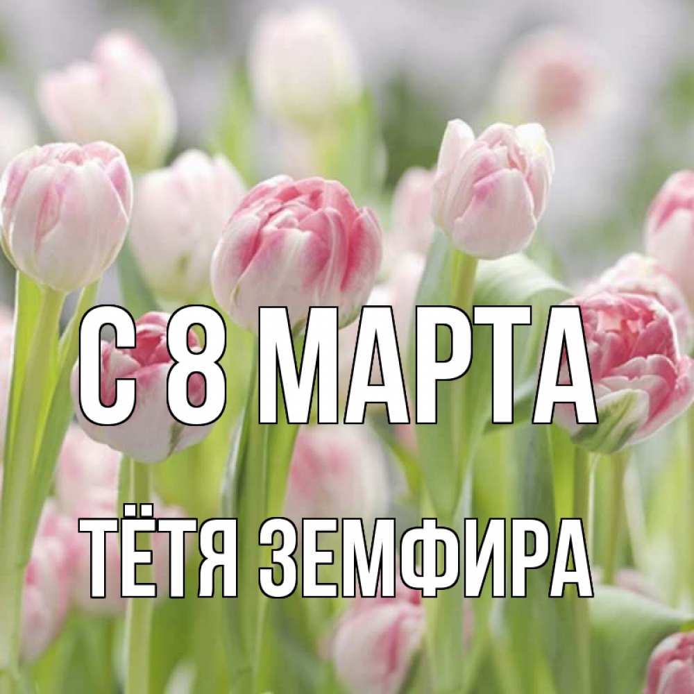 Открытка на каждый день с именем, Тётя-Земфира С 8 МАРТА цветы Прикольная открытка с пожеланием онлайн скачать бесплатно 