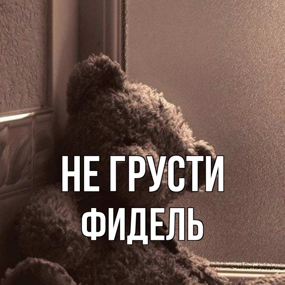 Открытка на каждый день с именем, Фидель Не грусти стекол рефленое Прикольная открытка с пожеланием онлайн скачать бесплатно 