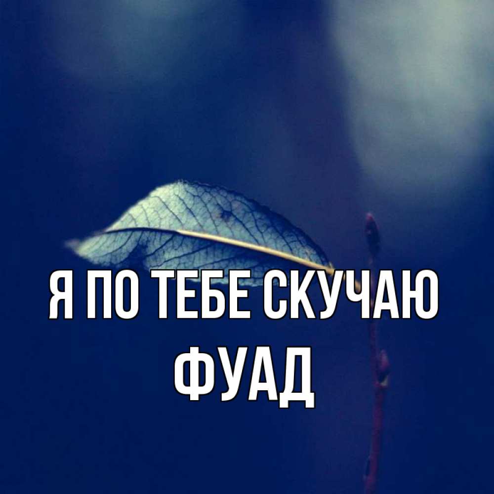 Открытка на каждый день с именем, Фуад Я по тебе скучаю одна ветка 1 Прикольная открытка с пожеланием онлайн скачать бесплатно 