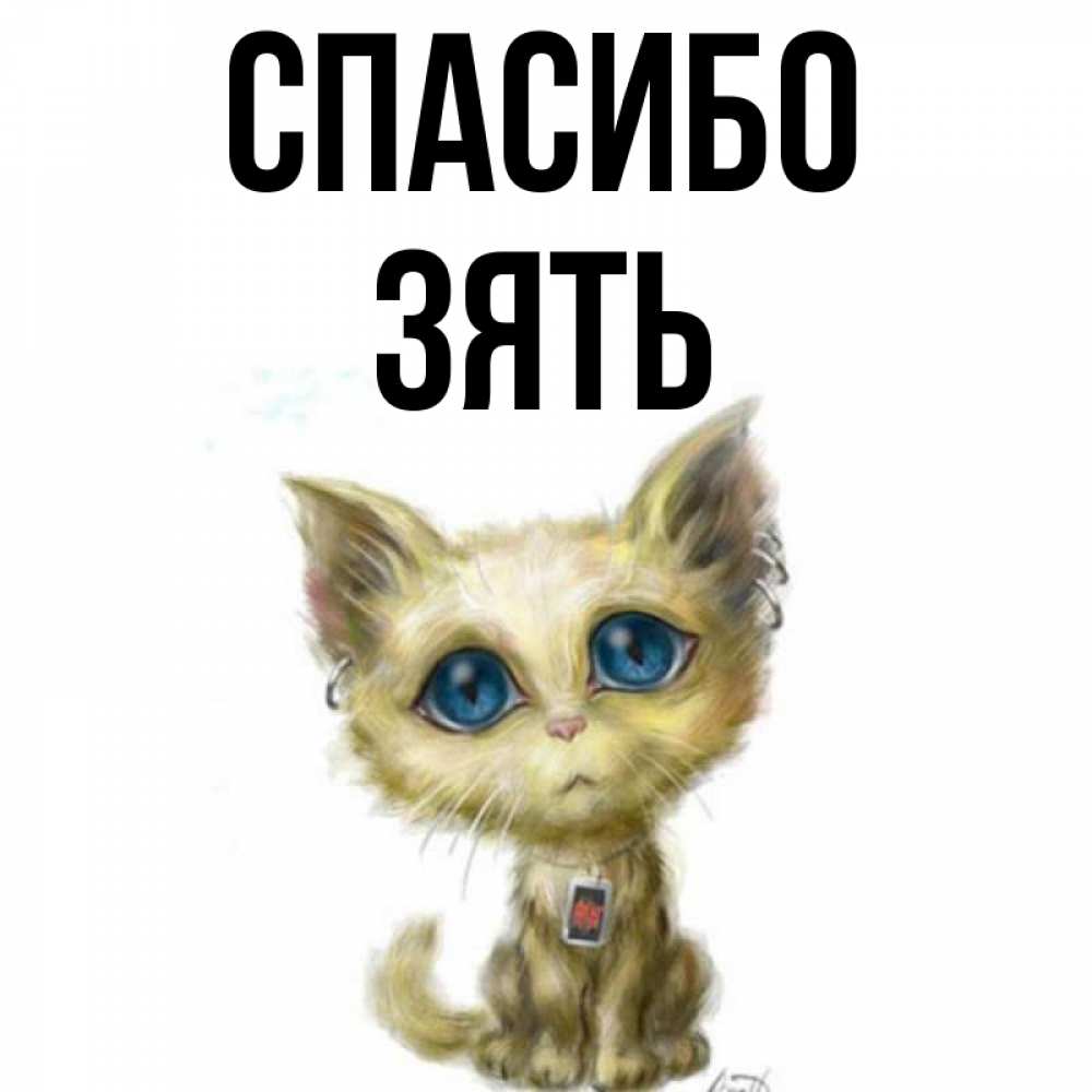 Открытка на каждый день с именем, Зять Спасибо рисованный кот благодарит вас Прикольная открытка с пожеланием онлайн скачать бесплатно 