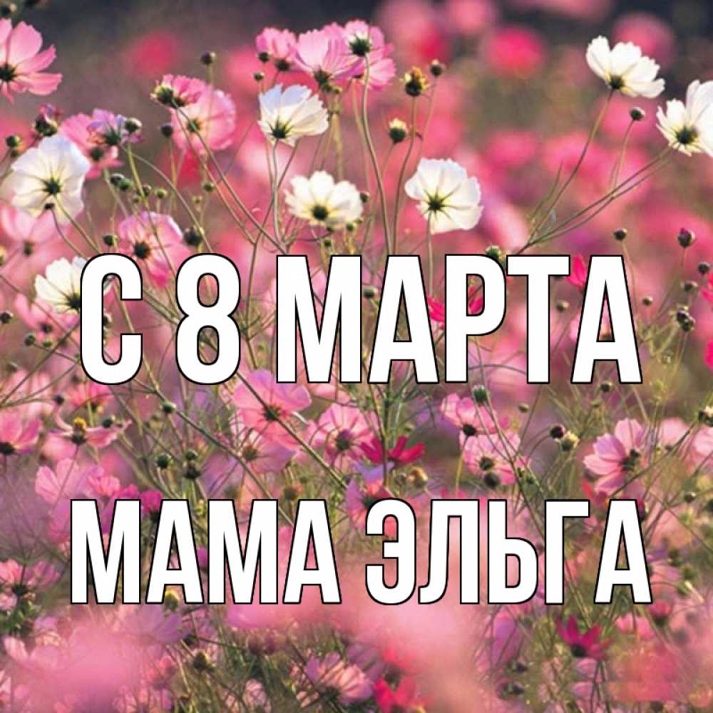 Открытка на каждый день с именем, Мама-Эльга С 8 марта красиво 1 Прикольная открытка с пожеланием онлайн скачать бесплатно 