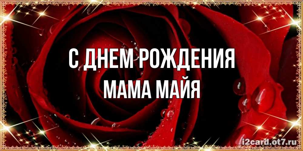 Открытка на каждый день с именем, Мама-Майя С днем рождения цветок в росе на день рождения Прикольная открытка с пожеланием онлайн скачать бесплатно 