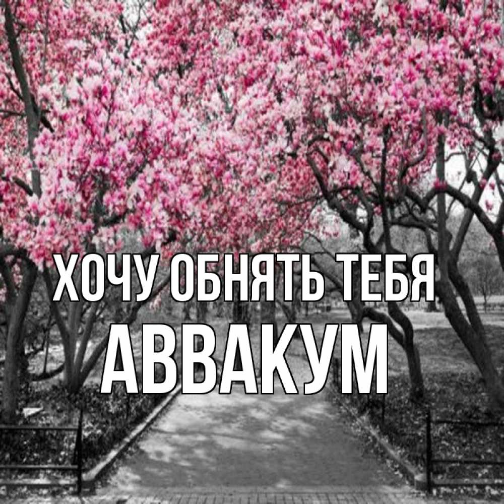 Открытка на каждый день с именем, Аввакум Хочу обнять тебя обработанное фото Прикольная открытка с пожеланием онлайн скачать бесплатно 
