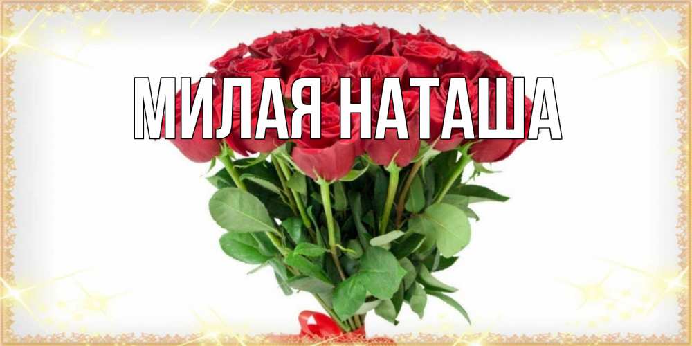 Главная Наташа Фото