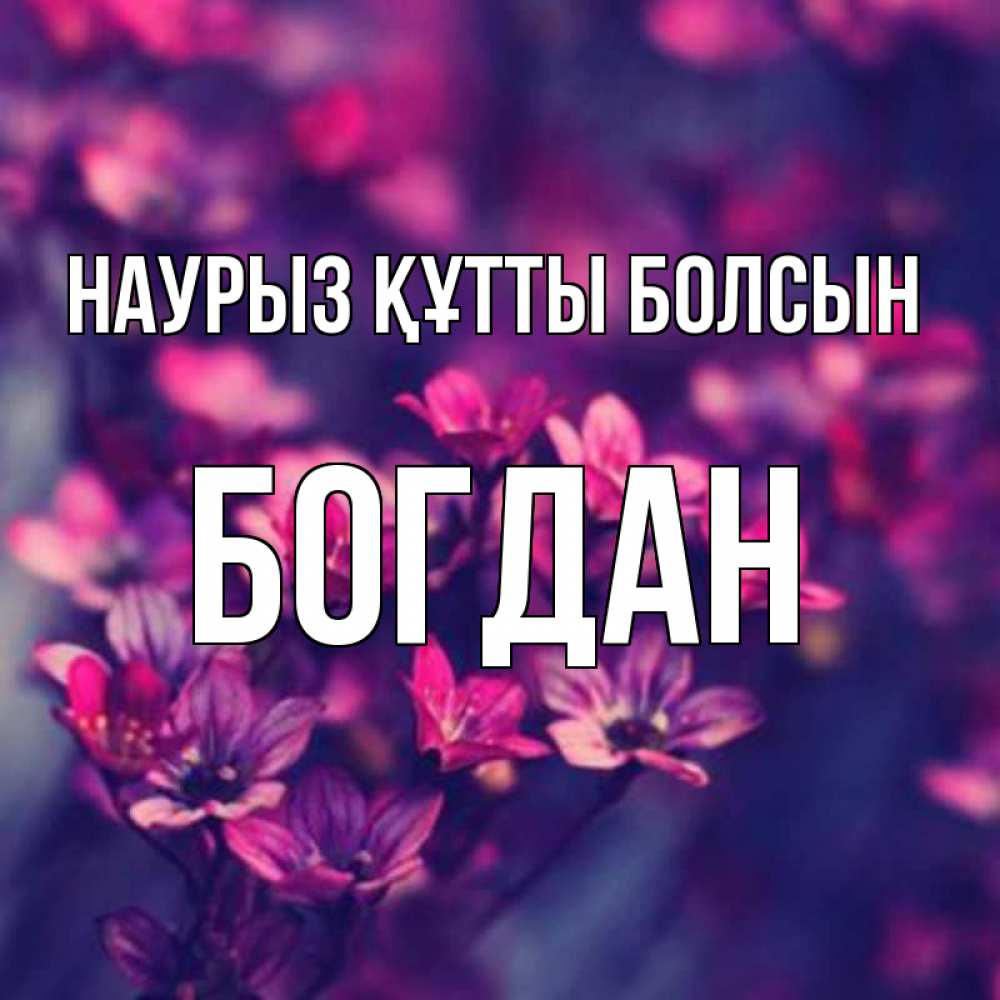 Открытка на каждый день с именем, Богдан Наурыз құтты болсын небольшие цветы 1 Прикольная открытка с пожеланием онлайн скачать бесплатно 