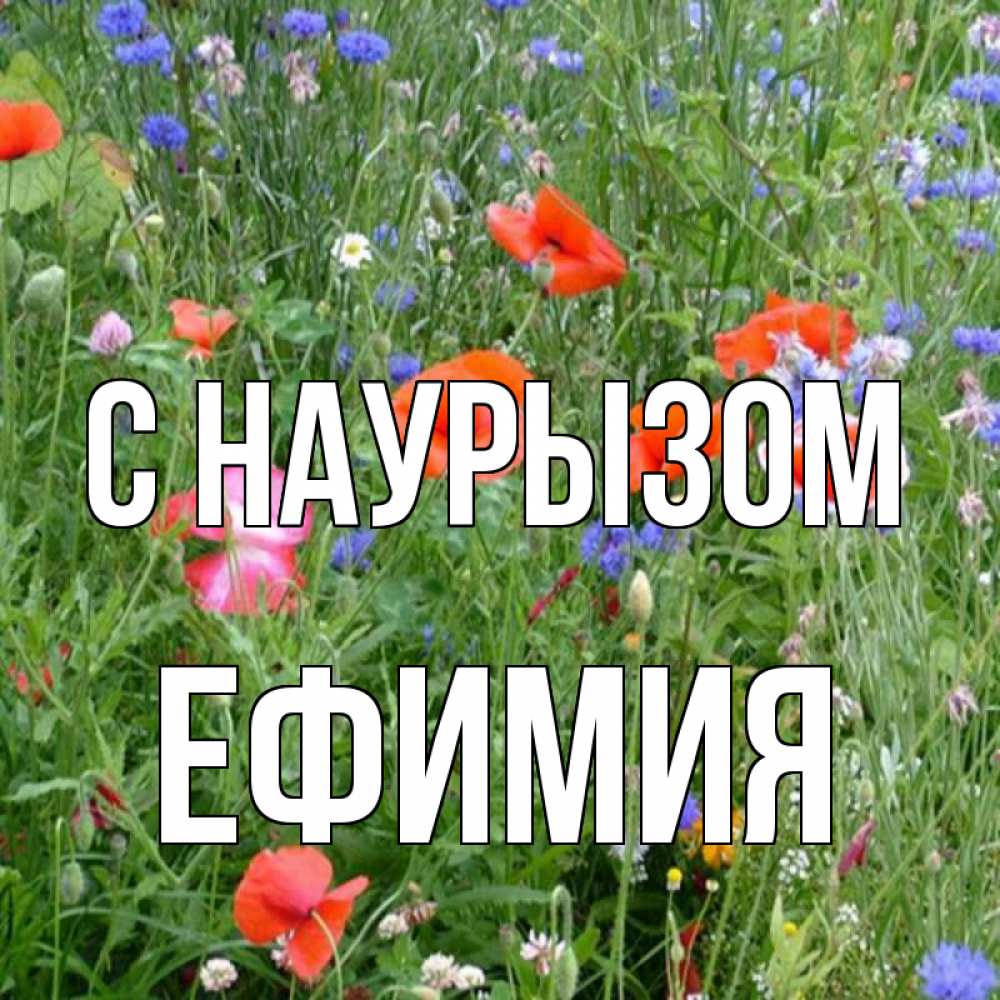 Открытка на каждый день с именем, Ефимия С наурызом праздник весны наурыз супер открытка Прикольная открытка с пожеланием онлайн скачать бесплатно 