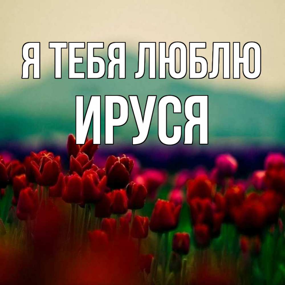 Картинка Я тебя люблю, Ируся
