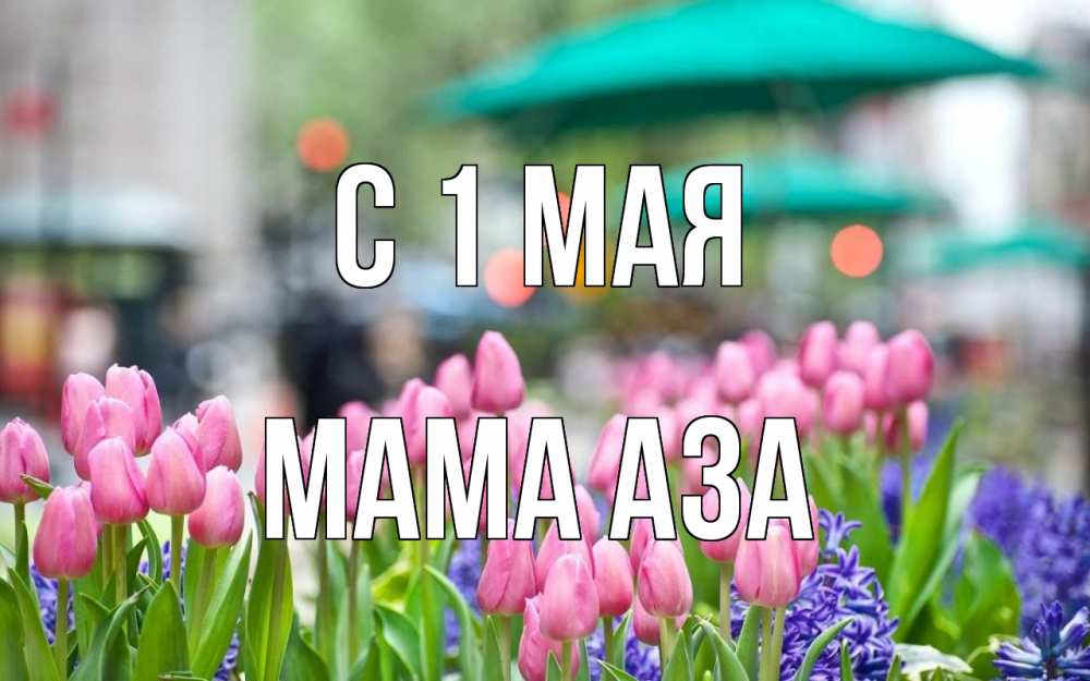 Открытка на каждый день с именем, Мама-Аза С 1 мая С 1 мая Прикольная открытка с пожеланием онлайн скачать бесплатно 