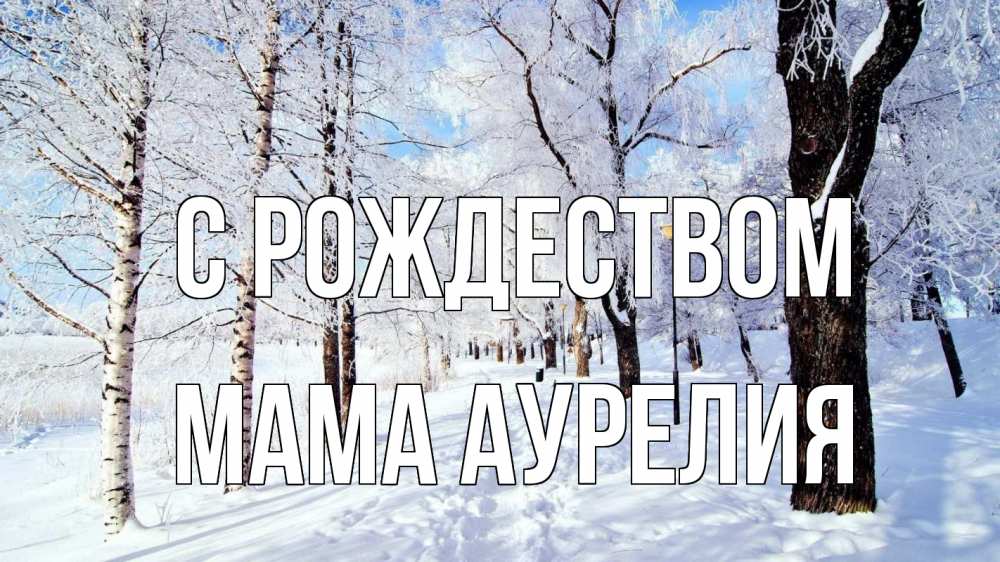 Открытка на каждый день с именем, Мама-Аурелия С рождеством зимний лес Прикольная открытка с пожеланием онлайн скачать бесплатно 