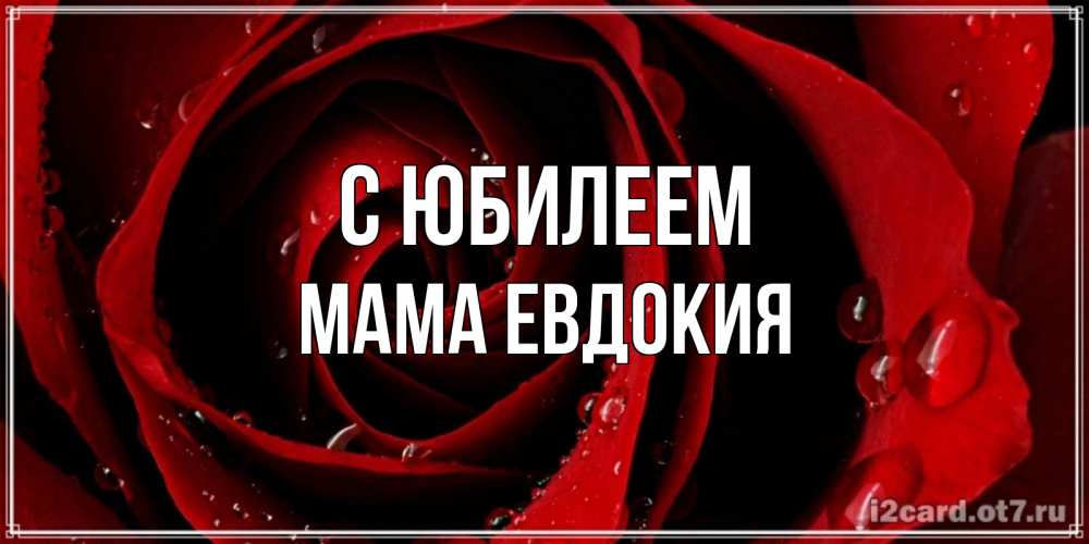 Открытка на каждый день с именем, Мама-Евдокия С юбилеем крупная бордовая роза Прикольная открытка с пожеланием онлайн скачать бесплатно 