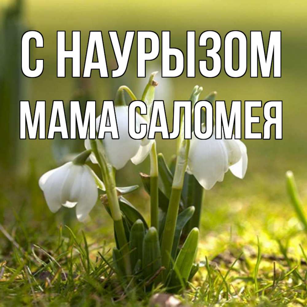 Открытка на каждый день с именем, Мама-Саломея С наурызом ранние цветы 2 Прикольная открытка с пожеланием онлайн скачать бесплатно 