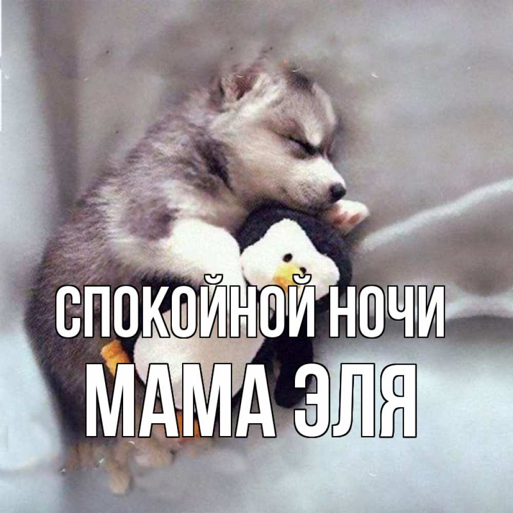 Открытка на каждый день с именем, Мама-Эля Спокойной ночи обнимашки щенка и пингвина Прикольная открытка с пожеланием онлайн скачать бесплатно 