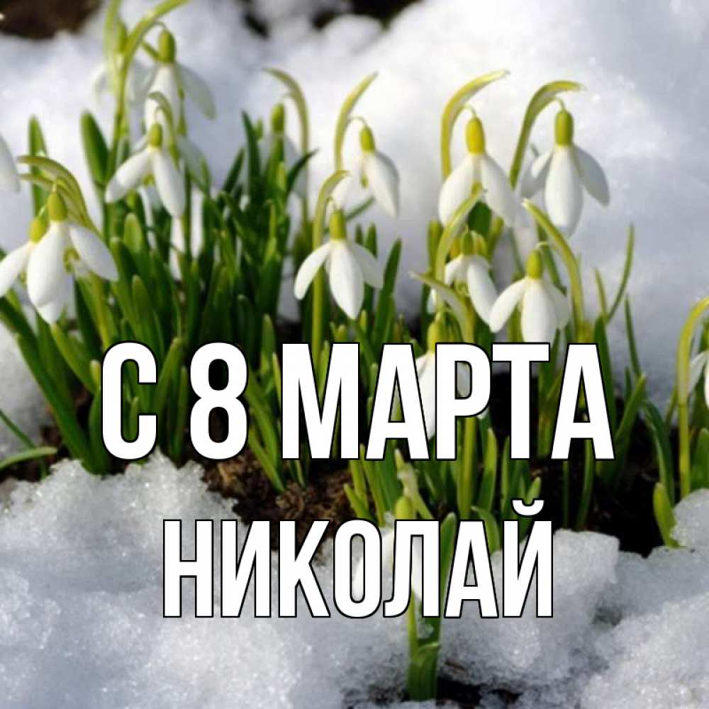Открытка на каждый день с именем, Николай С 8 марта цветы весенние Прикольная открытка с пожеланием онлайн скачать бесплатно 