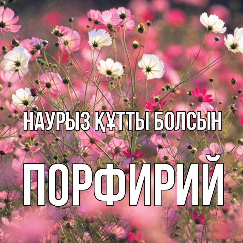Открытка на каждый день с именем, Порфирий Наурыз құтты болсын красиво 1 Прикольная открытка с пожеланием онлайн скачать бесплатно 