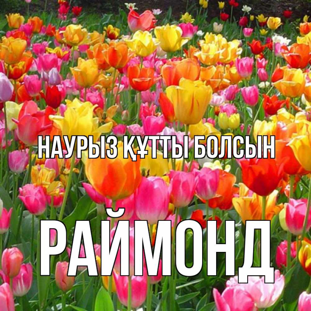 Открытка на каждый день с именем, Раймонд Наурыз құтты болсын на наурыз  ура ура Прикольная открытка с пожеланием онлайн скачать бесплатно 