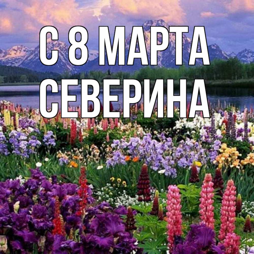 Открытка на каждый день с именем, Северина С 8 МАРТА международный женский день Прикольная открытка с пожеланием онлайн скачать бесплатно 