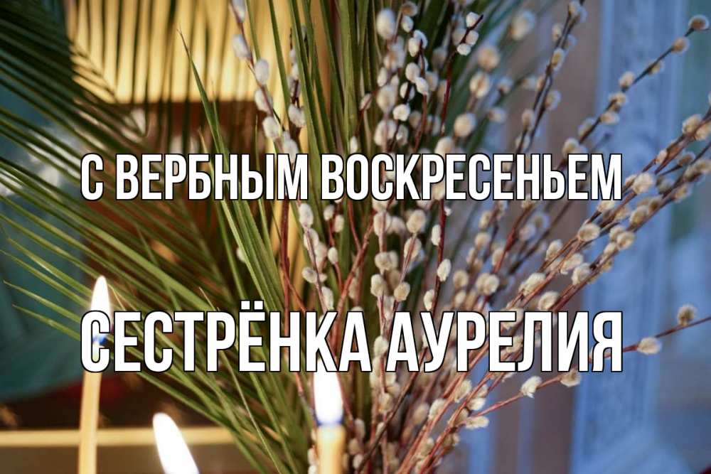 Открытка на каждый день с именем, Сестрёнка-Аурелия С вербным воскресеньем верба Прикольная открытка с пожеланием онлайн скачать бесплатно 