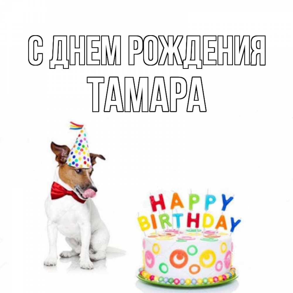 Открытка на каждый день с именем, ТАМАРА С днем рождения праздник Прикольная открытка с пожеланием онлайн скачать бесплатно 