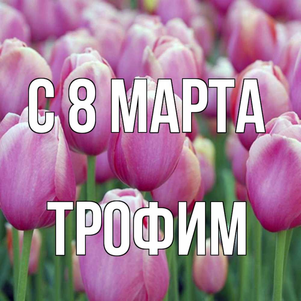 Открытка на каждый день с именем, Трофим С 8 МАРТА на международный женский день 3 Прикольная открытка с пожеланием онлайн скачать бесплатно 