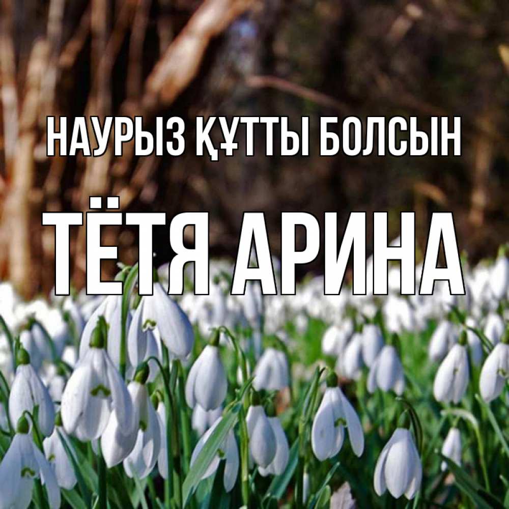 Открытка на каждый день с именем, Тётя-Арина Наурыз құтты болсын с подснежниками 1 Прикольная открытка с пожеланием онлайн скачать бесплатно 
