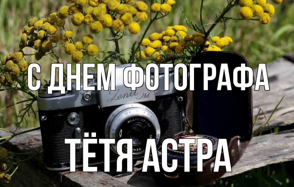 Открытка на каждый день с именем, Тётя-Астра С днем фотографа с днем фотографа Прикольная открытка с пожеланием онлайн скачать бесплатно 