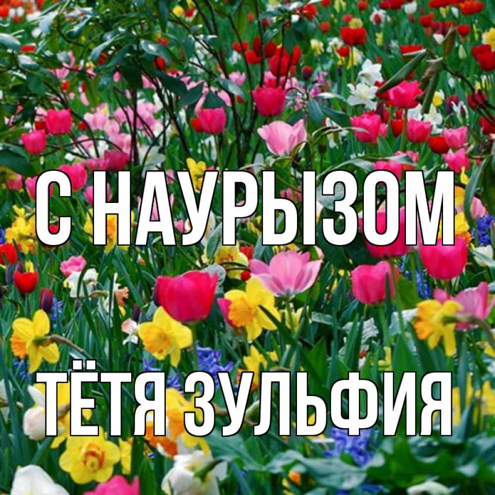 Открытка на каждый день с именем, Тётя-Зульфия С наурызом с наурызом праздником весны поздравления для женщины Прикольная открытка с пожеланием онлайн скачать бесплатно 