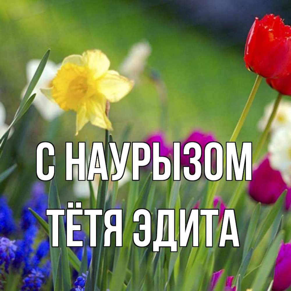 Открытка на каждый день с именем, Тётя-Эдита С наурызом праздник весны наурыз 3 Прикольная открытка с пожеланием онлайн скачать бесплатно 