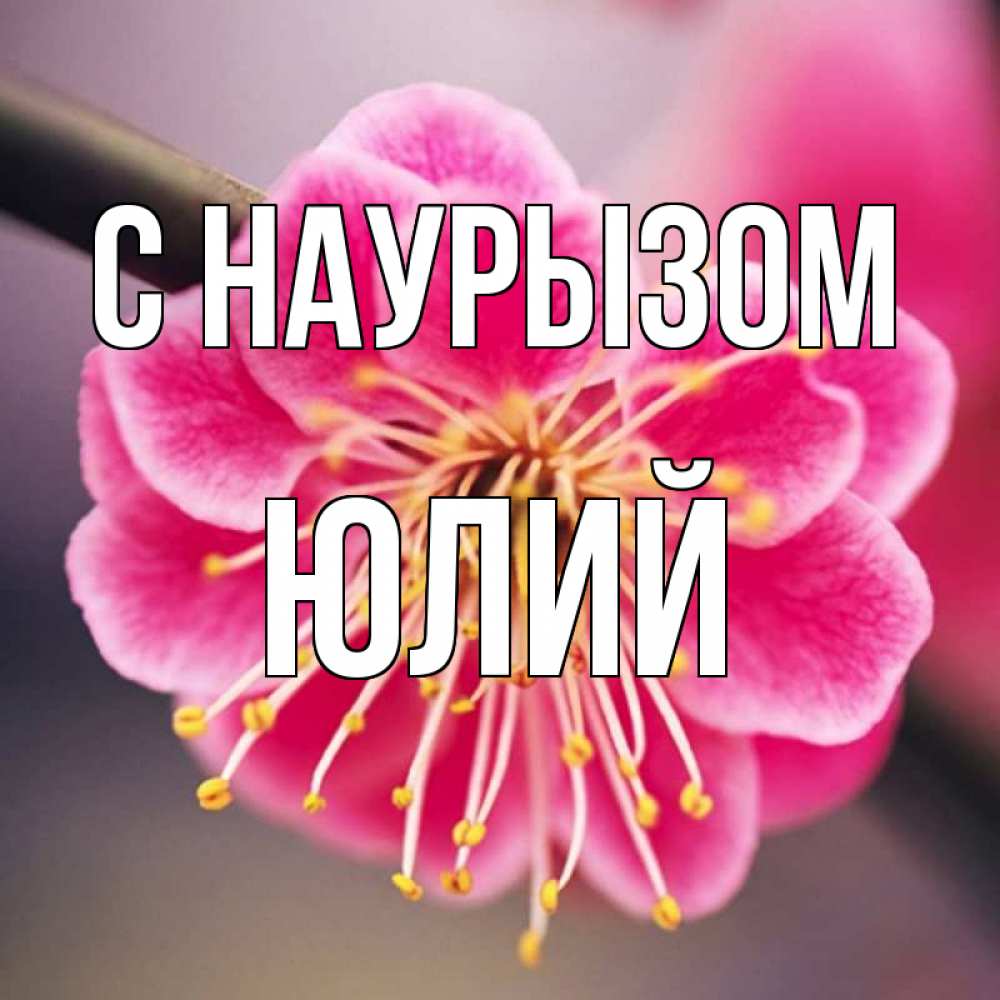 Открытка на каждый день с именем, Юлий С наурызом цветы Прикольная открытка с пожеланием онлайн скачать бесплатно 